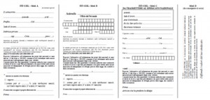 modello-delega